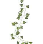 Picture of Decorative Vines