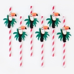 Picture of Paper Straws-Toucan