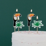 Picture of Candles - Toucan