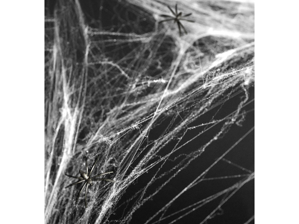 Picture of Spiderweb - Halloween