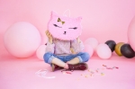 Picture of Pinata - Cat