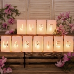 Picture of Lanterns, candle bags - Just Married