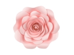 Picture of Paper flower backdrop - Pastel pink (5pcs)