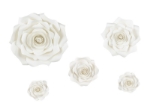 Picture of Paper flower backdrop - Vintage white (5pcs)