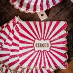 Picture of Napkins - Circus (16pcs)