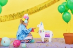 Picture of Pinata - Llama