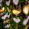 Picture of Heart Back Drop