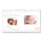 Picture of Babybook chevron light pink