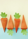 Picture of Boxes - Carrots (6pcs)