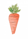 Picture of Napkins - Carrot shaped  (Meri Meri)