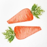 Picture of Napkins - Carrot shaped  (Meri Meri)