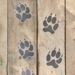 Picture of Floor stickers - Feline footprint