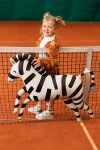 Picture of Foil Balloon Zebra