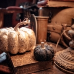 Picture of Decorative mini pumpkins (4pcs)