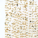Picture of Gold Petals Photo Booth Backdrop