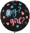 Εικόνα της Μπαλόνι Large - Boy? Girl? 