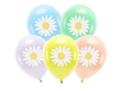 Picture of Balloons - Daisy (5pcs)