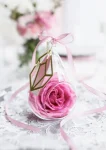 Picture of Satin Ribbon - Pink (0,6cm x 25m)